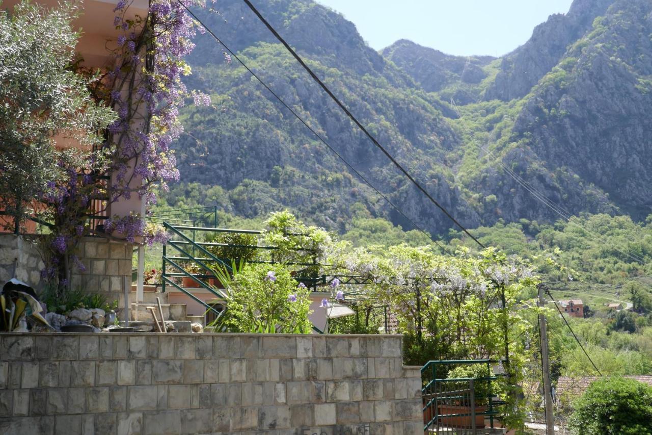 Ecohouse Risan Studio Exterior foto