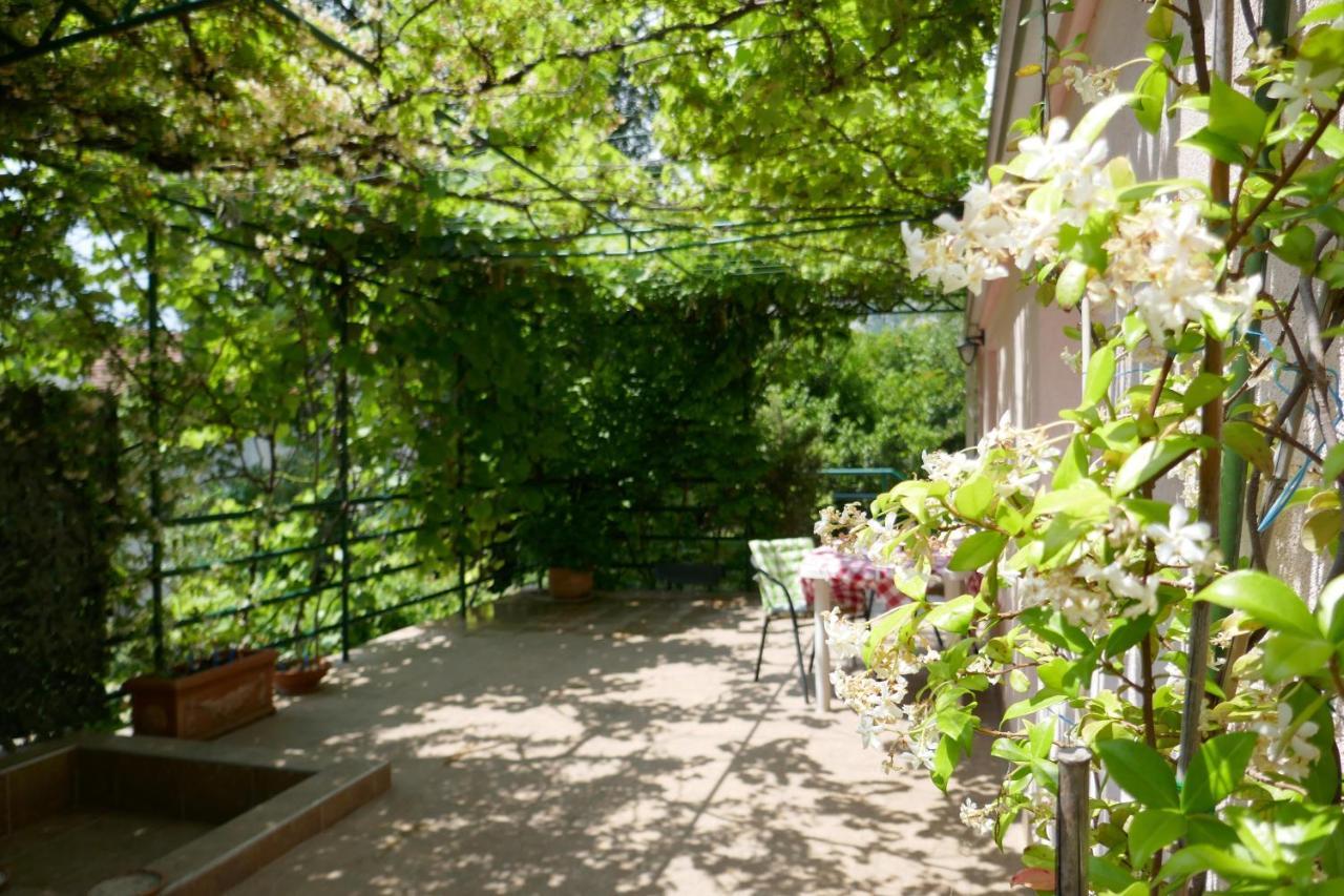 Ecohouse Risan Studio Exterior foto