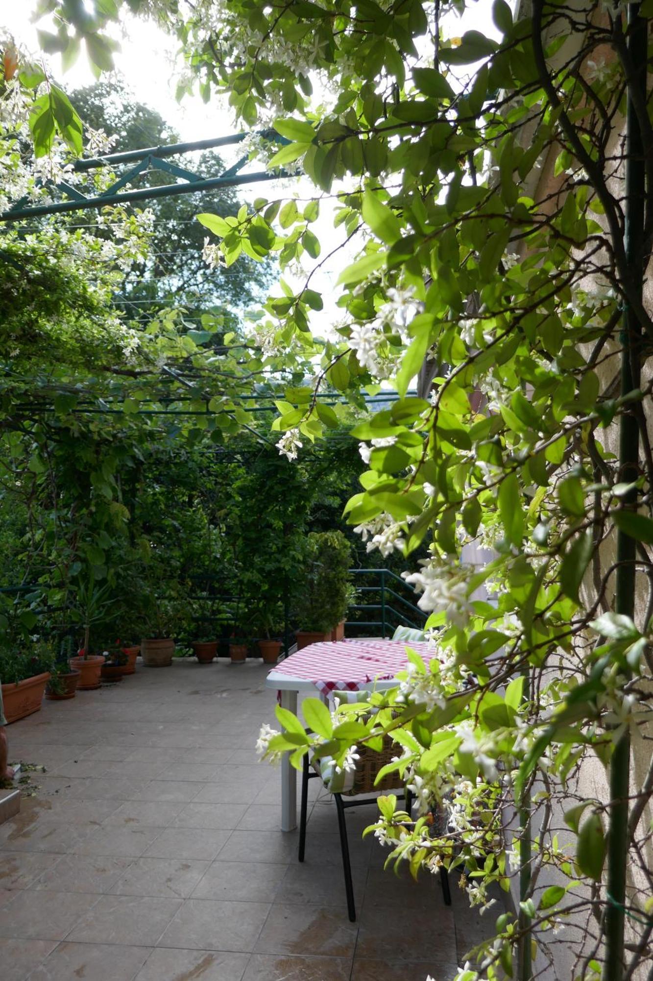 Ecohouse Risan Studio Exterior foto